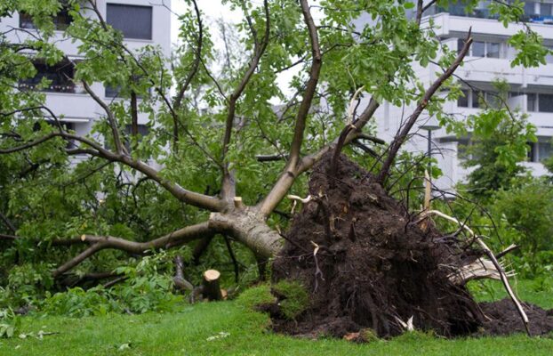 NEED HELP WITH STORM DAMAGE?